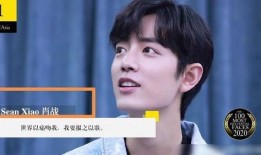 肖战公仔爆料了吗视频,幕后故事大公开