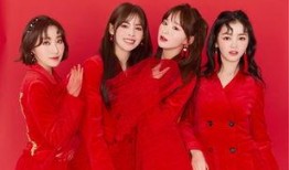 女团价格爆料最新,揭秘娱乐圈幕后交易新动态